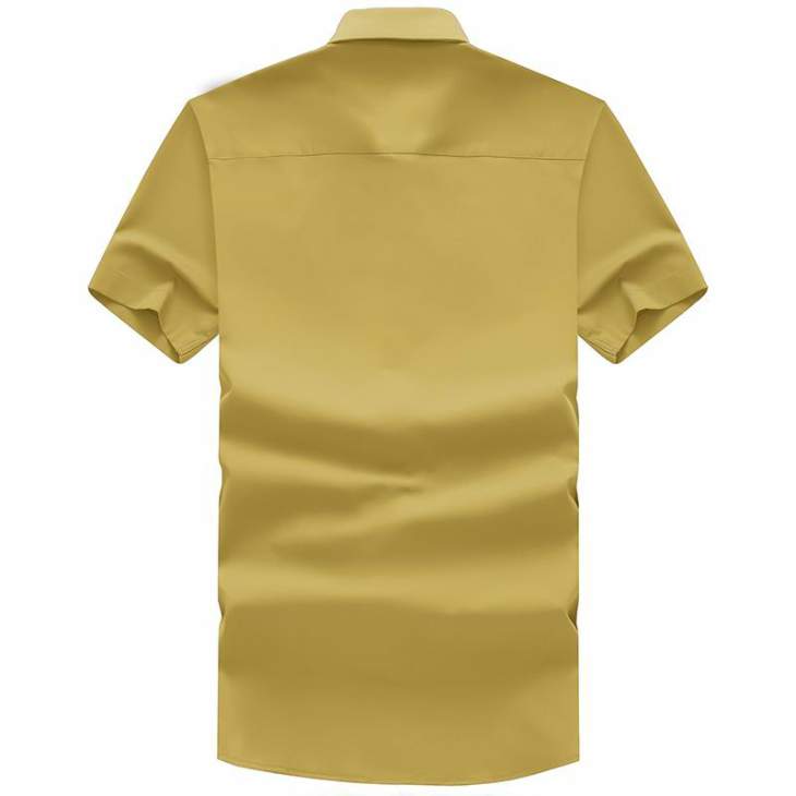 Picture of Burberry Shirts Short _SKUBurberryS-4XL25tx9128054